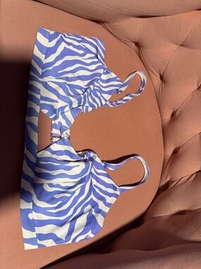 Blue & White Zebra Print Bikini Top